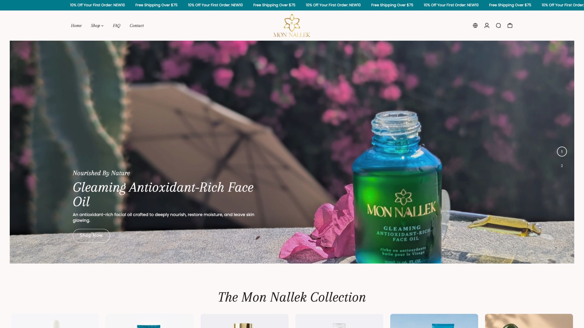 Mon Nallek Website Sample
